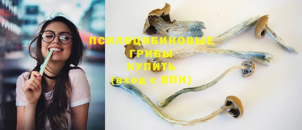 гидра Лагань