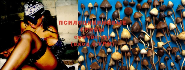 гидра Лагань