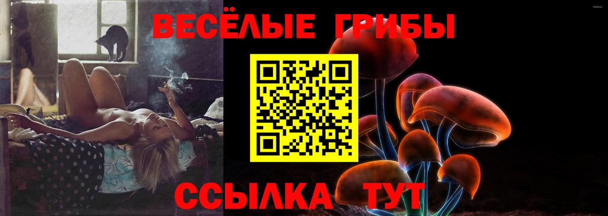 Екатеринбург  Галлюциногенные грибы Cubensis  Вход с VPN 